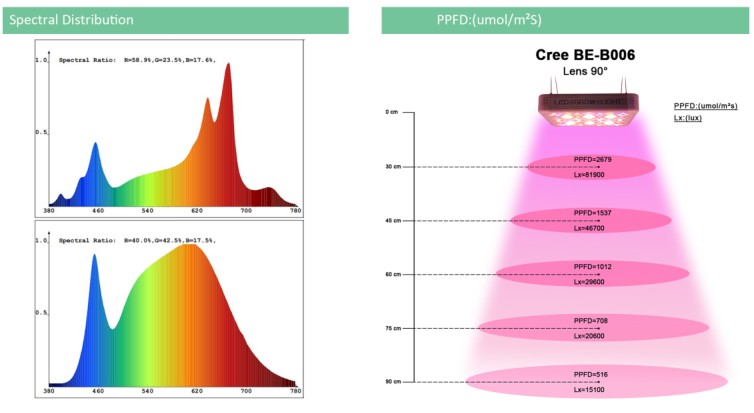 Cree COB LED Grow Light Upgrade Full Spectrum For Indoor Plants