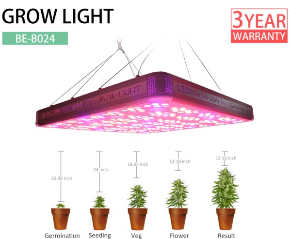 1200W Cree COB LED Grow Light For Greenhouse Grow Plants