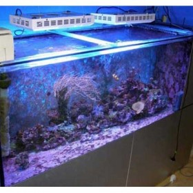 165W LED Aquarium Lights For Fish Tank Hot Sale New Zealand -1