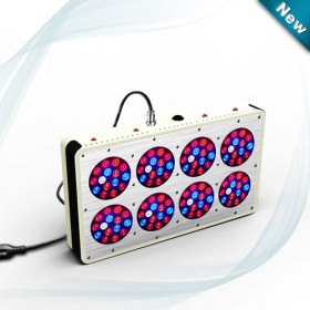 Apllo 8 LED Grow Light For Hydroponic Tomatoes NZ -1