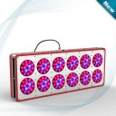 540W Apollo 12 LED Grow Light For Greenhouse Growing Lights nz -1