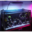 300w LED Aquarium Lighting For Growing Corals Commercial Lighting 1