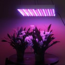 Cheap 45w LED Grow Lamp For Hydroponics Garden Growing -1
