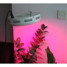 135W UFO LED Grow Light NASA RED And Blue For Growing Weed -1