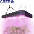 600W Cree COB LED Grow Light For Basement Grow Plants